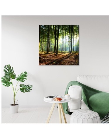 Leinwandbild - Morgen im grünen Wald | Feeby