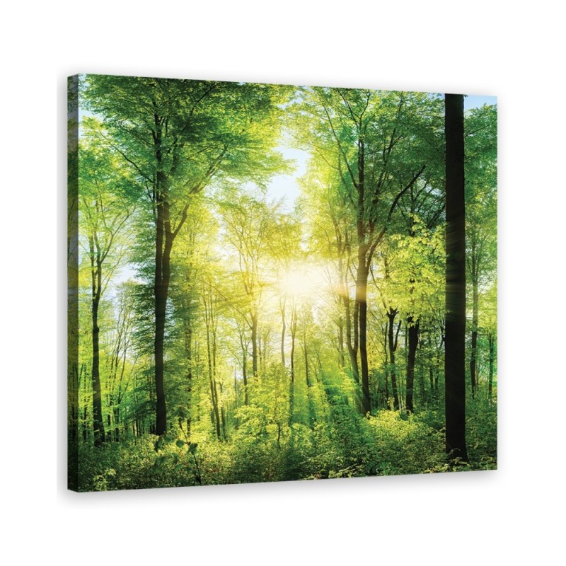 Wandbild für Wohnzimmer - Sonnenstrahlen Las Natura | Feeby