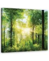 Promienie słońca Las Natura - Obraz do salonu | FEEBY