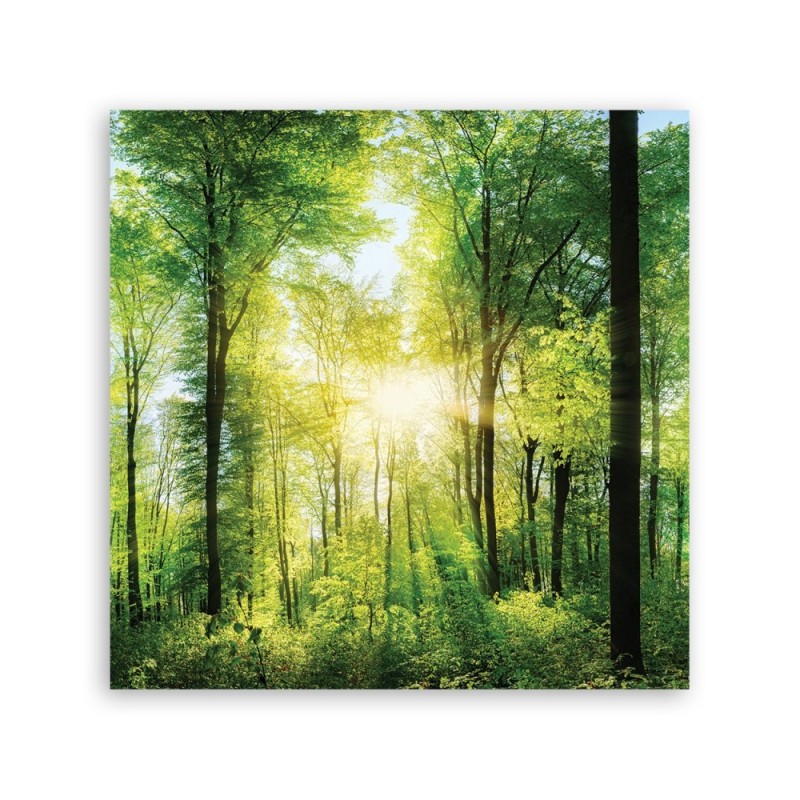 Wandbild für Wohnzimmer - Sonnenstrahlen Las Natura | Feeby