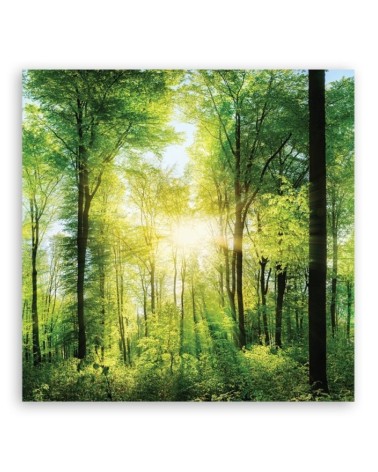 Wandbild für Wohnzimmer - Sonnenstrahlen Las Natura | Feeby