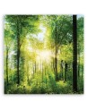 Promienie słońca Las Natura - Obraz do salonu | FEEBY