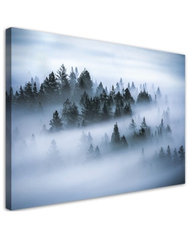 Dekoratives Leinwandbild - Wald im Nebel | Feeby