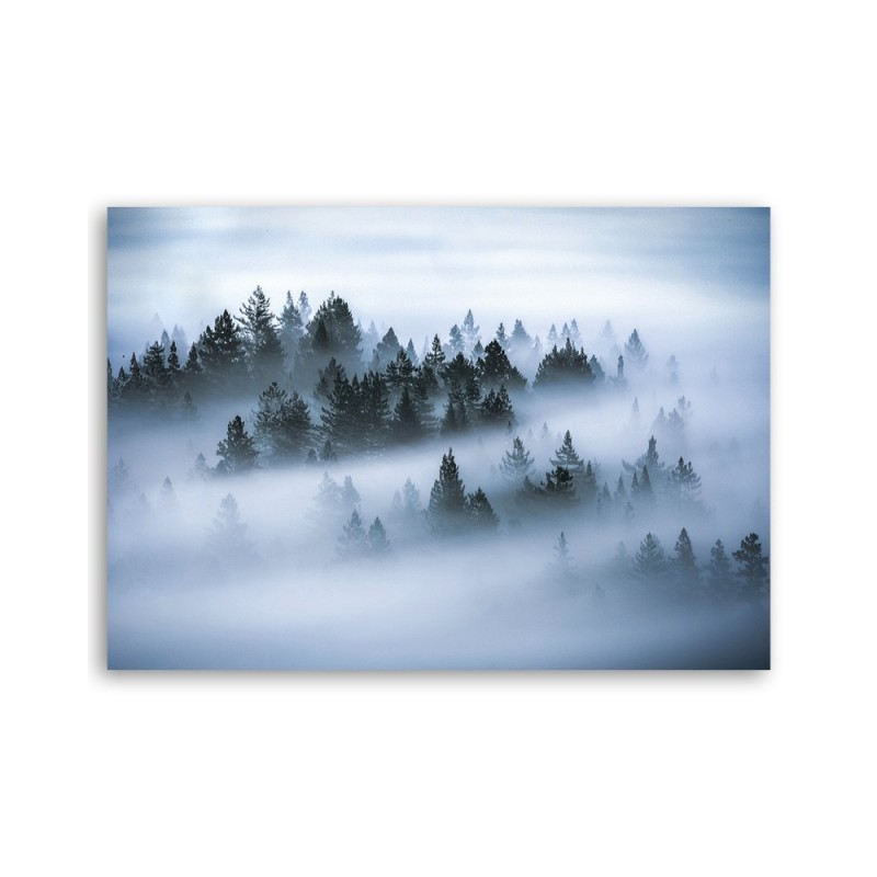 Dekoratives Leinwandbild - Wald im Nebel | Feeby