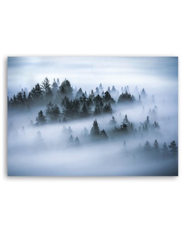 Dekoratives Leinwandbild - Wald im Nebel | Feeby