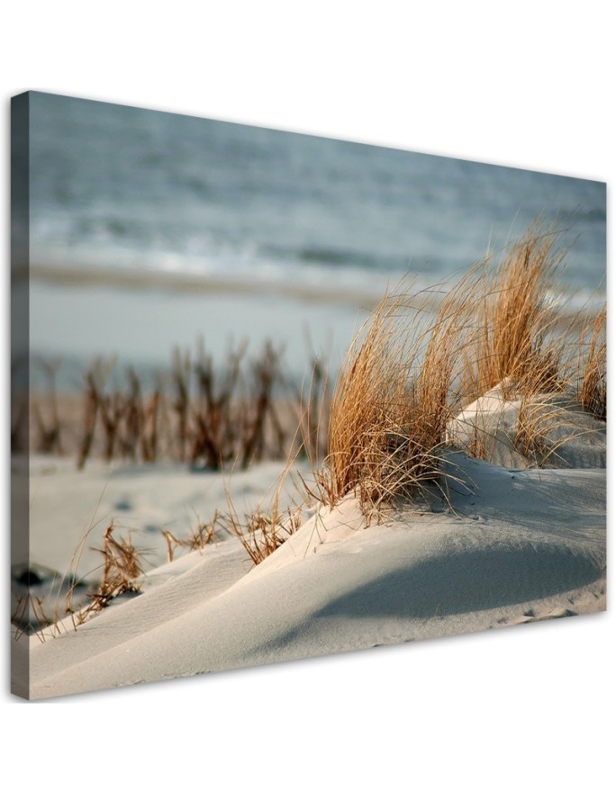 Bild auf Leinwand - Dünen am Meer | Feeby