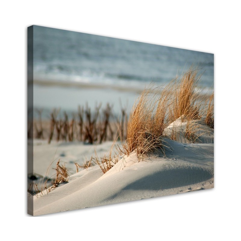 Bild auf Leinwand - Dünen am Meer | Feeby