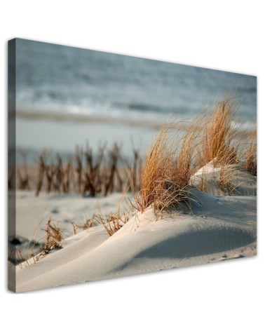 Bild auf Leinwand - Dünen am Meer | Feeby