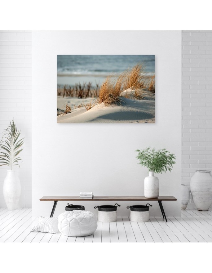 Wydmy nad morzem - Obraz na płótnie canvas | FEEBY