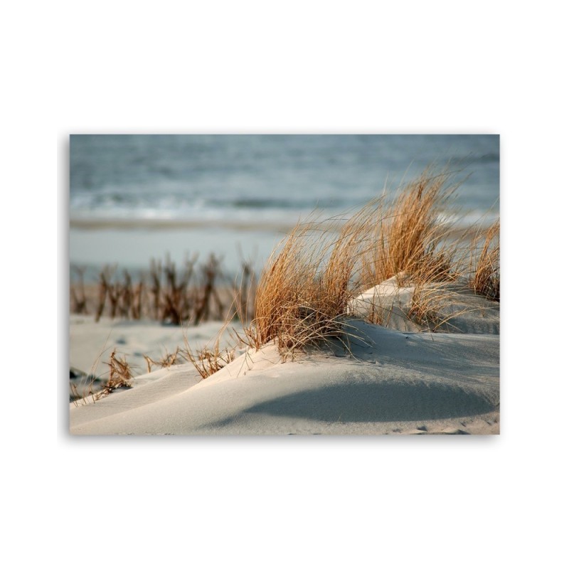 Bild auf Leinwand - Dünen am Meer | Feeby