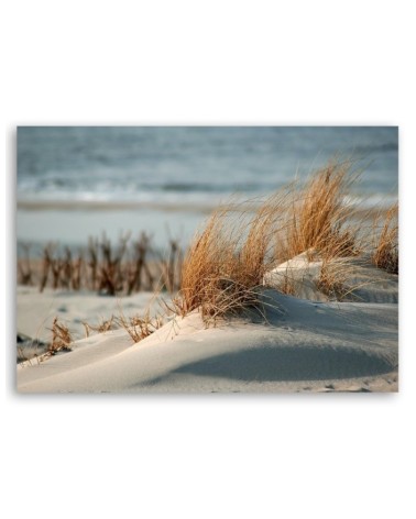 Bild auf Leinwand - Dünen am Meer | Feeby