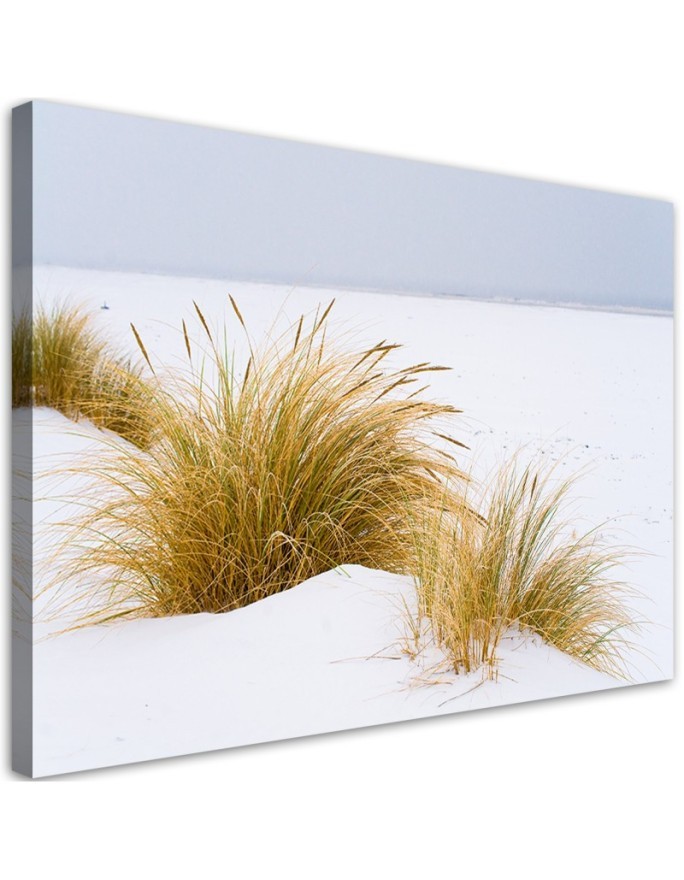 Leinwandbild modern - Dünen auf goldenem Sand | Feeby