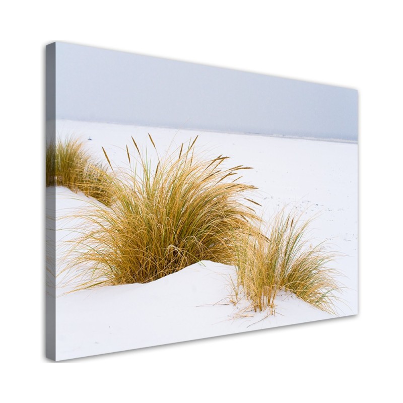 Leinwandbild modern - Dünen auf goldenem Sand | Feeby