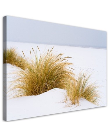 Leinwandbild modern - Dünen auf goldenem Sand | Feeby