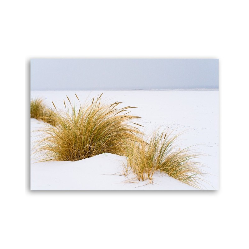 Leinwandbild modern - Dünen auf goldenem Sand | Feeby