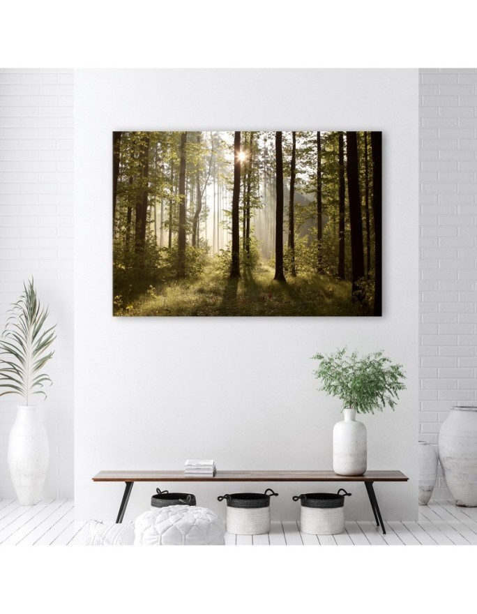 Obraz na płótnie canvas - Poranek w lesie | FEEBY