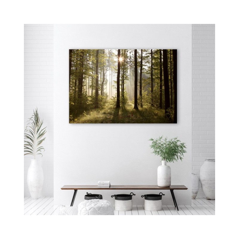 Leinwandbild - Morgen im Wald | Feeby