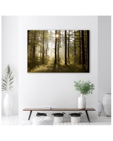 Leinwandbild - Morgen im Wald | Feeby