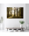 Obraz na płótnie canvas - Poranek w lesie | FEEBY