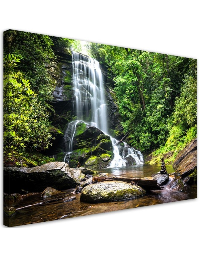 Wandbild für Wohnzimmer - Wasserfall im grünen Wald | Feeby