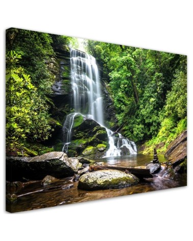 Wandbild für Wohnzimmer - Wasserfall im grünen Wald | Feeby