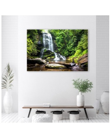 Wandbild für Wohnzimmer - Wasserfall im grünen Wald | Feeby