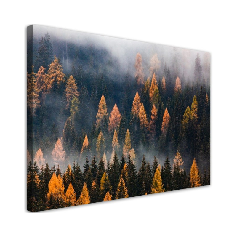 Dekoratives Leinwandbild - Herbstbäume | Feeby