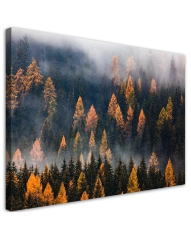 Dekoratives Leinwandbild - Herbstbäume | Feeby