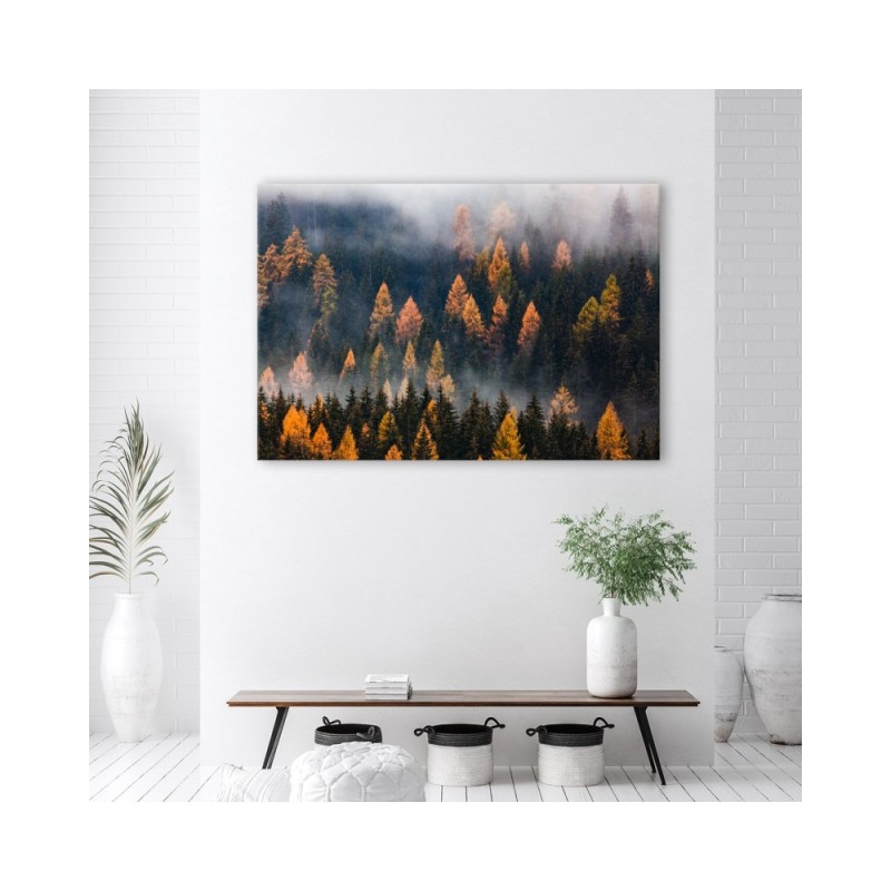 Dekoratives Leinwandbild - Herbstbäume | Feeby