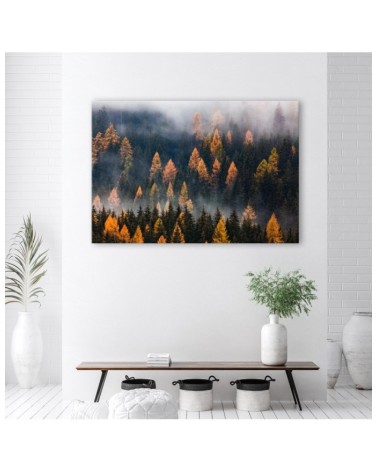Dekoratives Leinwandbild - Herbstbäume | Feeby