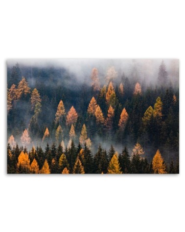 Dekoratives Leinwandbild - Herbstbäume | Feeby