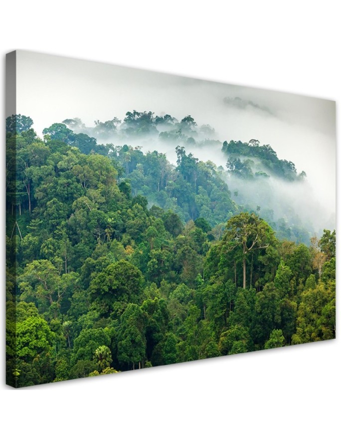 Leinwandbild - Wald im Nebel Landschaft | Feeby