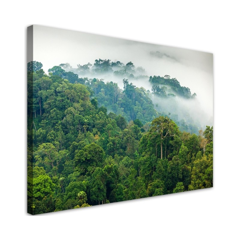 Leinwandbild - Wald im Nebel Landschaft | Feeby