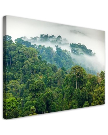 Leinwandbild - Wald im Nebel Landschaft | Feeby