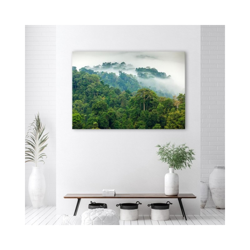 Leinwandbild - Wald im Nebel Landschaft | Feeby