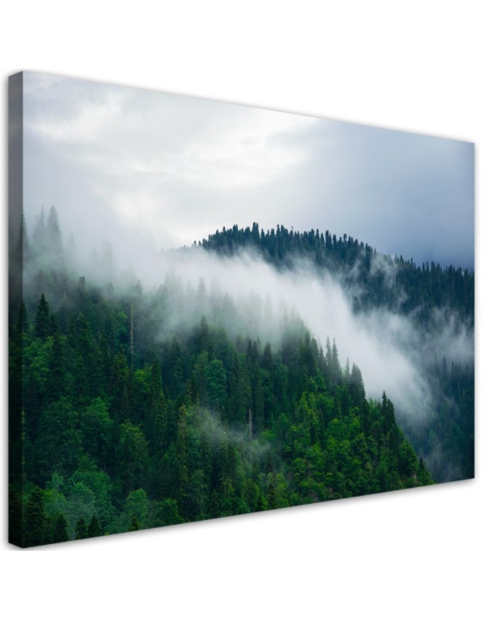 Bild auf Leinwand - Wald im Nebel | Feeby