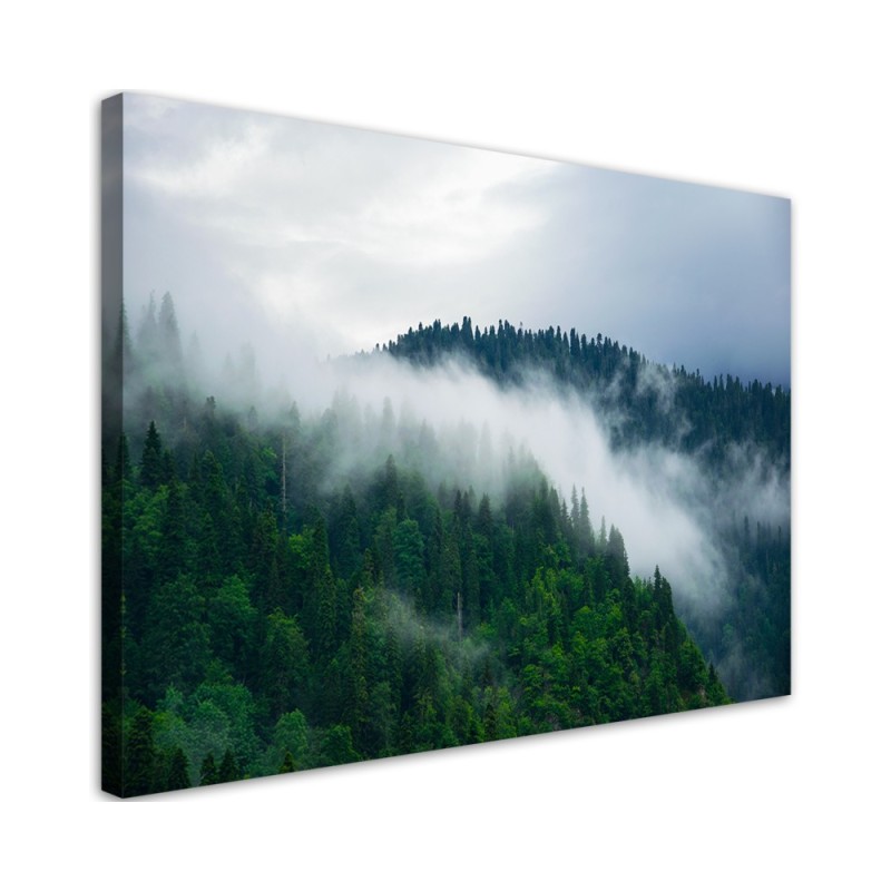 Bild auf Leinwand - Wald im Nebel | Feeby