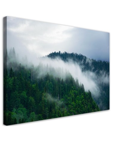 Bild auf Leinwand - Wald im Nebel | Feeby