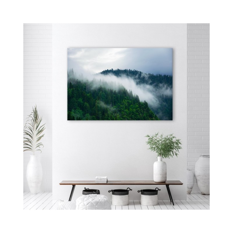 Bild auf Leinwand - Wald im Nebel | Feeby