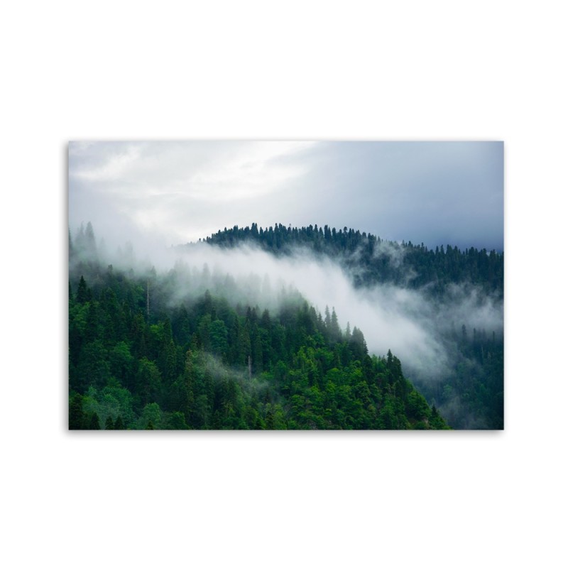 Bild auf Leinwand - Wald im Nebel | Feeby