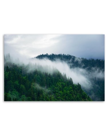 Bild auf Leinwand - Wald im Nebel | Feeby