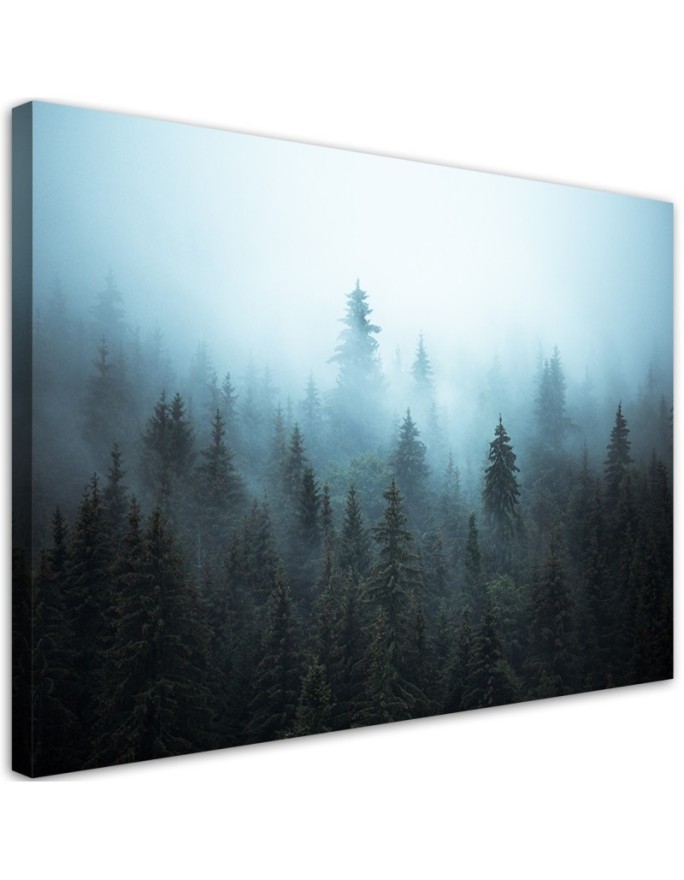 Leinwandbild - Wald im Nebel | Feeby