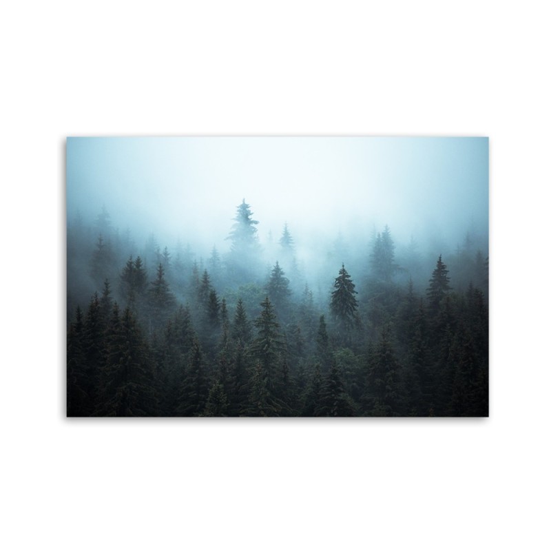 Leinwandbild - Wald im Nebel | Feeby