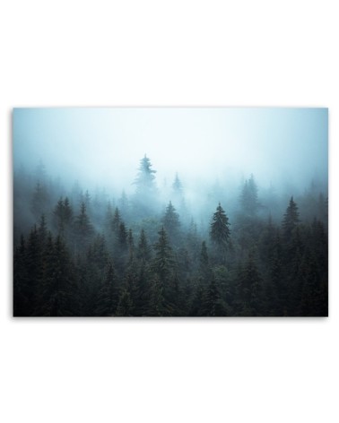 Leinwandbild - Wald im Nebel | Feeby