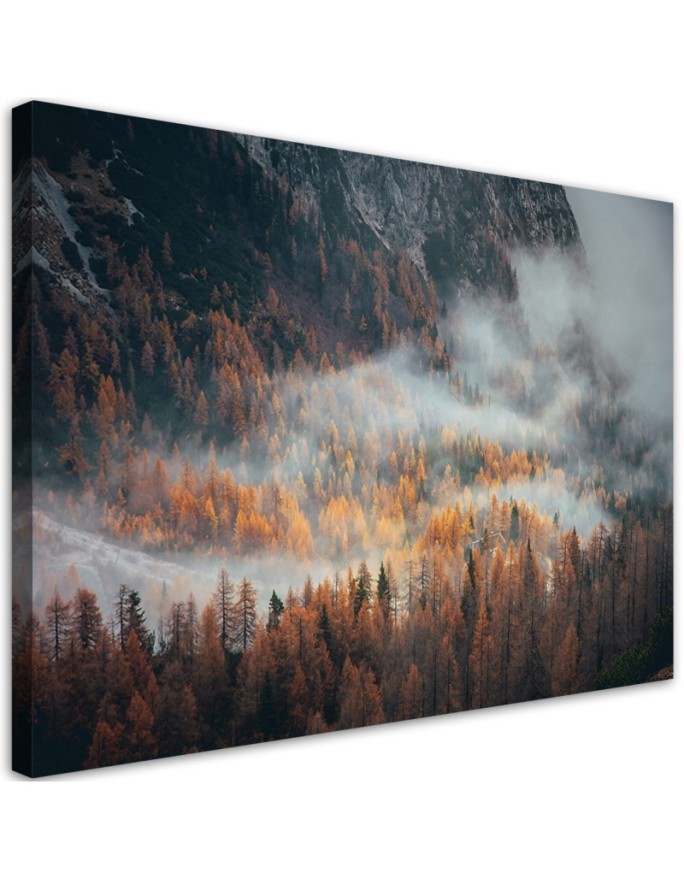 Wandbild für Wohnzimmer - Landschaft Wald im Nebel | Feeby