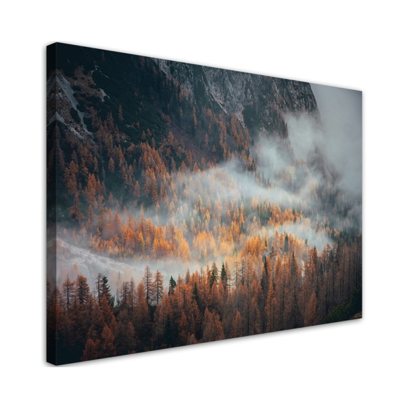 Wandbild für Wohnzimmer - Landschaft Wald im Nebel | Feeby