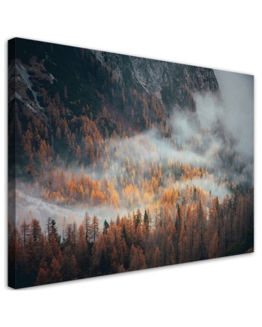 Wandbild für Wohnzimmer - Landschaft Wald im Nebel | Feeby