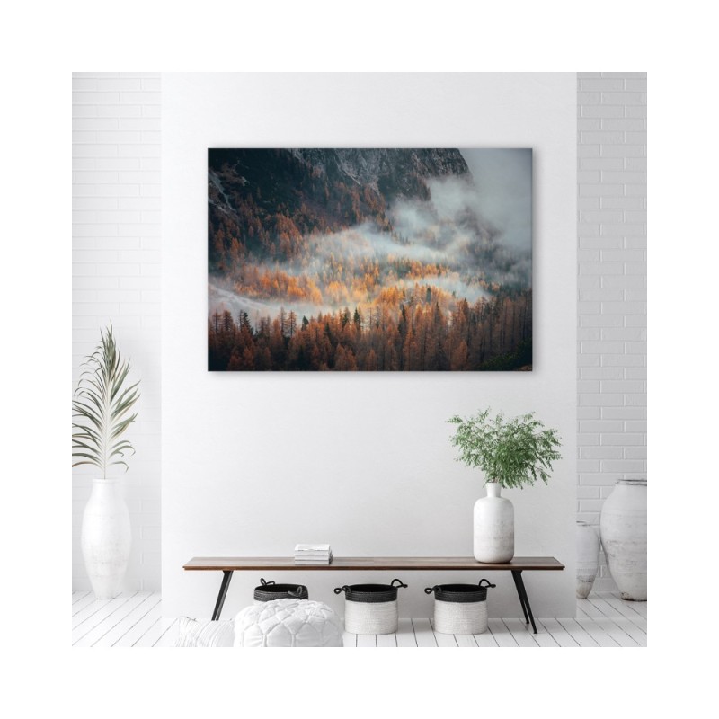 Wandbild für Wohnzimmer - Landschaft Wald im Nebel | Feeby