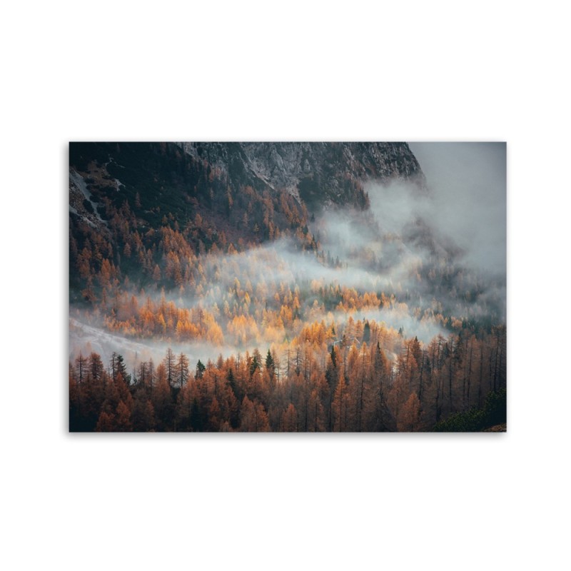 Wandbild für Wohnzimmer - Landschaft Wald im Nebel | Feeby