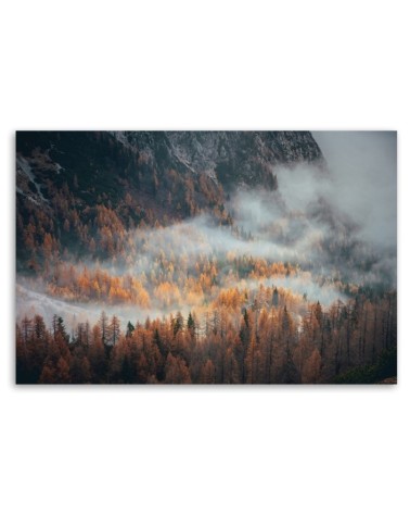 Wandbild für Wohnzimmer - Landschaft Wald im Nebel | Feeby